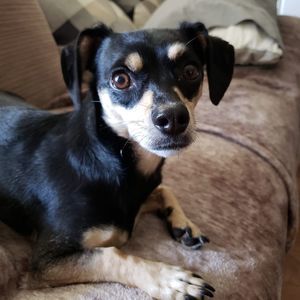 Meet your Posher, Jane